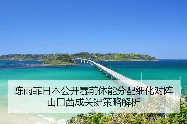 陈雨菲日本公开赛前体能分配细化对阵山口茜成关键策略解析